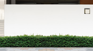 築10年以上たった時